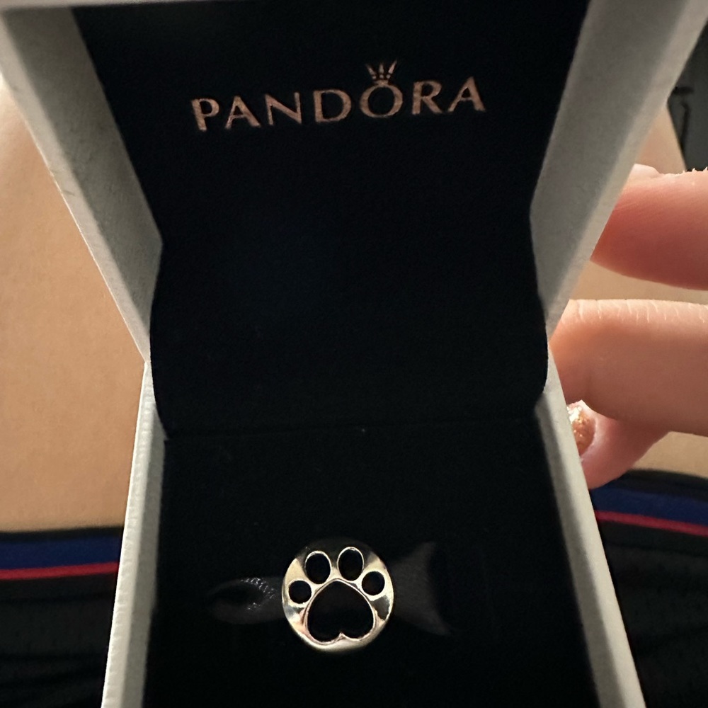 Pandora dog charm!
